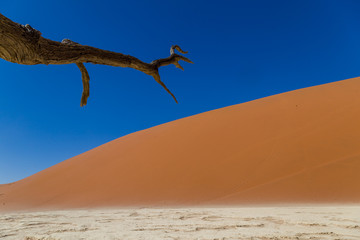 Naklejka premium Dune de Sable en Namibie Deadvlei Sossusvlei 