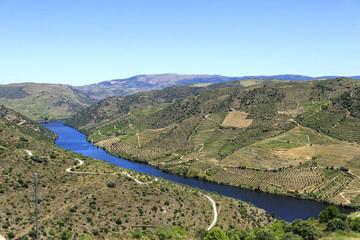 Douro Valley – River and Vineyards