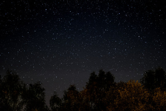  starlit sky at night above  trees 