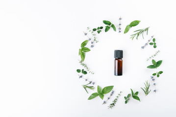 essential oils with botles and herbs on white background