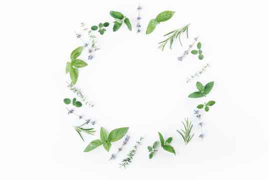 essential oils with botles and herbs on white background
