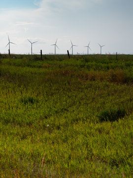 A Green Meadow with Six Wind Turbines