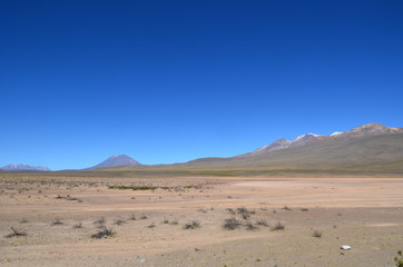 Altopiano peruviano del sud pascoli di alpaca