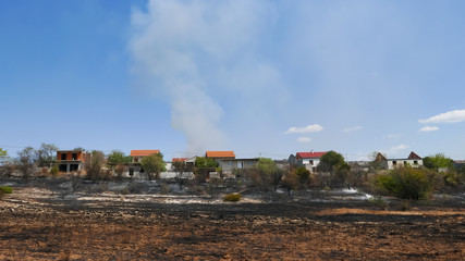 Fototapeta premium Wildfire in Europe threatening the households, burned crops near houses