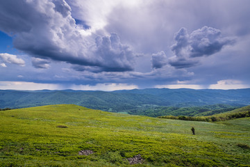 Obraz premium Landscape of Bieszczady National Park, Subcarpathian Voivodeship of Poland, view from Wetlina trail