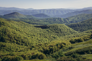Fototapeta premium Bieszczady National Park, Subcarpathian Voivodeship of Poland, view from hiking trail to Tarnica mount