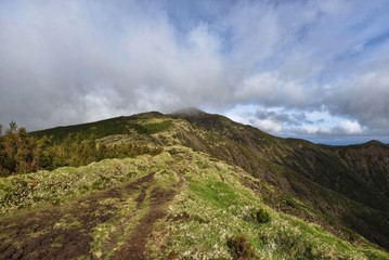 Azoren - Sao Miguel - Pico da Vara Wanderweg