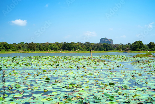 View Of Sigiriya Rock Or Lion Rock In Sri Lanka Stock Photo - 
