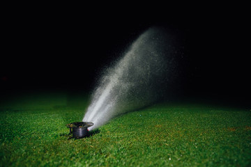 automatic lawn sprinkler spraying water over golf course green grass at night - obrazy, fototapety, plakaty