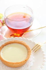 Homemade cheese tart for gourmet dessert image