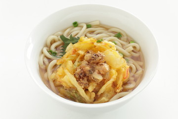 Japanese food, Deep fried octopus Tempura and udon noodles
