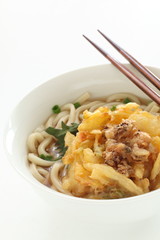 Japanese food, Deep fried octopus Tempura and udon noodles
