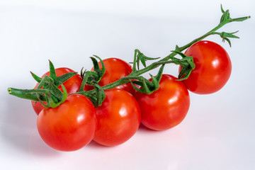 プチトマト　白背景
