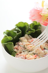 Short pasta and Japanese Kunikama crab stick salad