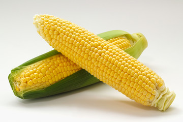 とうもろこし