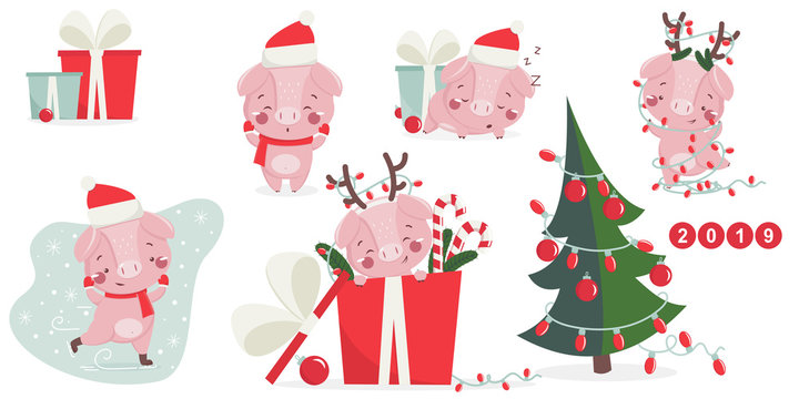 Happy new year set with cute pig. Chinese symbol of the 2019 year. Design for print, poster, invitation, t-shirt and greeting card. Vector illustration.