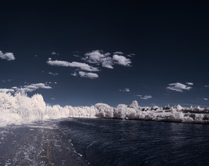 Obraz premium infrared photography - ir photo of landscape with tree under sky with clouds - the art of our world and plants in the infrared camera spectrum