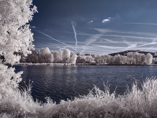 infrared photography - ir photo of landscape with tree under sky with clouds - the art of our world...