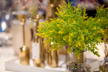 Backgrounds, decorations (vases, flowers, glass) placed on a wooden table. Always show in the home, garden.