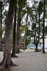 the road on the beach