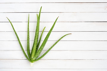 Aloe vera on white wooden desk with copy space,Top view.