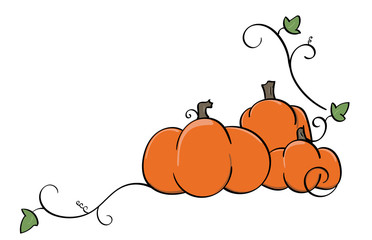 Pumpkin and Squash vines corner accent