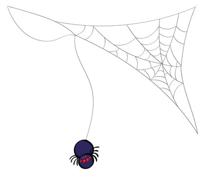 Spider hanging from a web corner accent