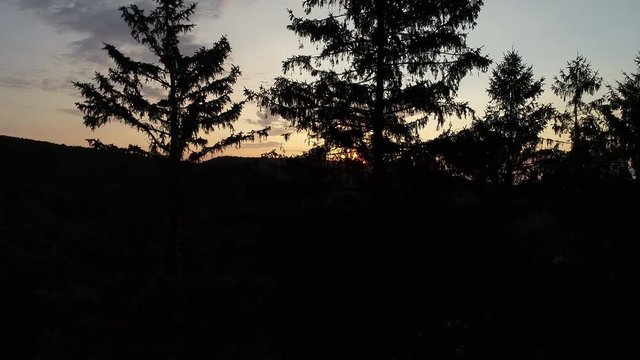 A slowly rising aerial view of the rising sun as seen through trees in a Western Pennsylvania forest.  	