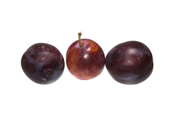 plum isolated on white background