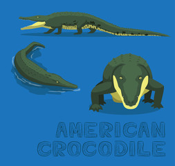 American Crocodile Cartoon Vector Illustration