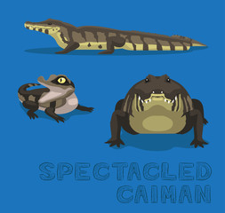 Spectacled Caiman Cartoon Vector Illustration