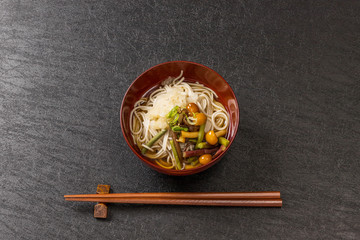 典型的な日本そば　Japanese noodles(soba)