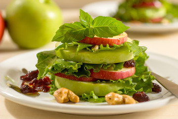 Apple salad with cranberries