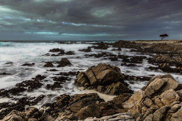 Stormy rocky coast line with a lone tree in the background