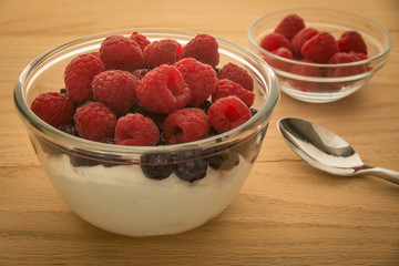 Beautiful flowers growing in a field