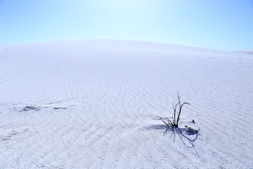 White Sands National Monument in New Mexico, USA	
