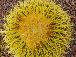 Desierto de Tabernas en Almeria, Andalucia, Espa&ntilde;a