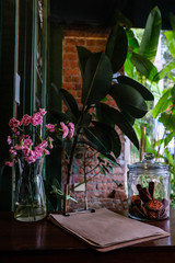 Pink carnation in a clear glass vase on a wooden table with paper food menu in a cafe with green plants in background