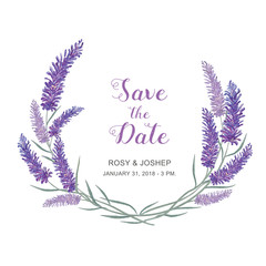 Lavender flowers watercolor elements. Collection of floral and leaves on a white background. Drawing watercolor design for save the date, invitation, wedding or greeting cards.