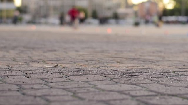 in the city, in a public Park, a passer man stops and throws a cigarette butt on the asphalt, close up