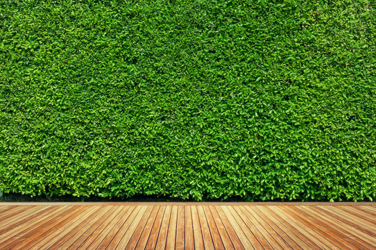 Old Wood Or Flooring And Plant In Garden Decorative