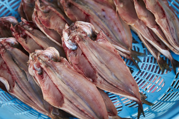 fresh fish at the market