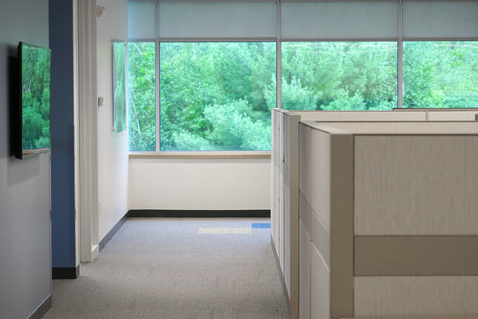 Cubicles Inside Office Building With Green Trees Outside The Window