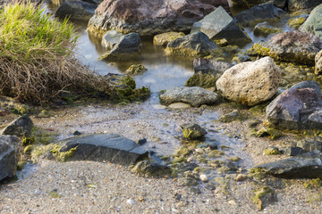 The beach with stones. Big stones on the beach. Morning inflow of water. Bulgaria, Burgas, Nessebar, Olympic Hope beach