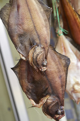 fresh fish at the market