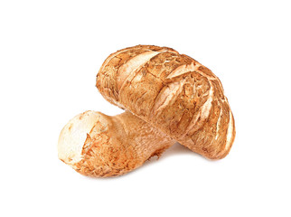 single mushroom on white background