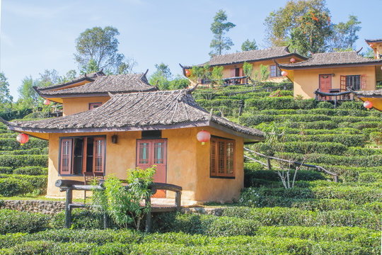 Tea Plantation resort Chinese style in Ban Rak Thai. Mae Hong Son, Thailand
