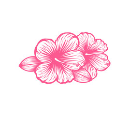 beautifull blomming flower hibiscus icon line art vector illustration, Tropical exotic Hawaii plant isolated