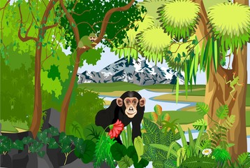 Monkey standing among the plants, jungle, trees, wildlife and nature theme illustration