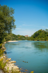Fototapeta premium Duck family swimming on the inn river with Burghausen Castle in the background